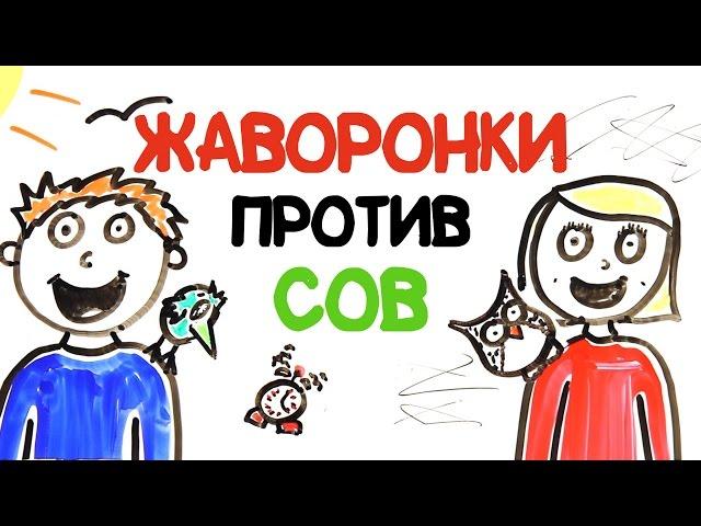 Жаворонки против сов [AsapSCIENCE]