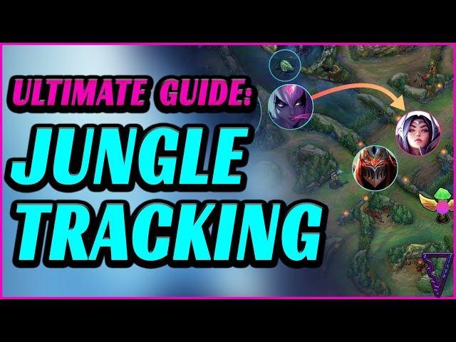 Ultimate Jungle Tracking Guide For All Roles (Track The Enemy Jungle)