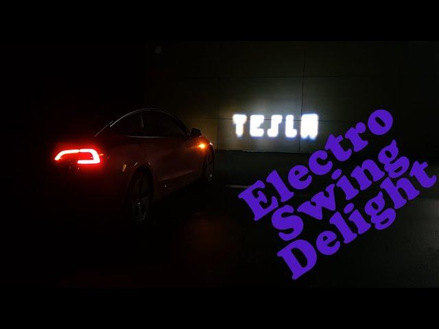 Telsa Custom Light Show - Delight