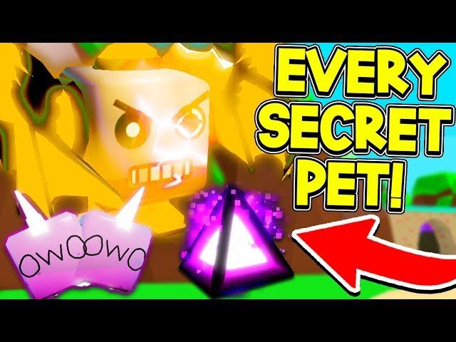 HOW TO GET EVERY SECRET PET IN BUBBLE GUM SIMULATOR 2020! *SUPER OP*