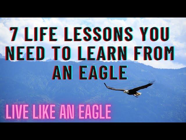 LIVE LIKE AN EAGLE  || 7 Life Lessons we have to Learn from EAGLE || InfoHolic infoTube