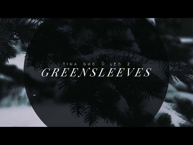Greensleeves (from Winter Night: Traces in the Snow) - Tina Guo & Leo Z