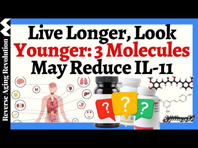 Live Longer, Look Younger: The Groundbreaking Science Of IL-11 Inhibition, 3 Molecules To Reduce It!