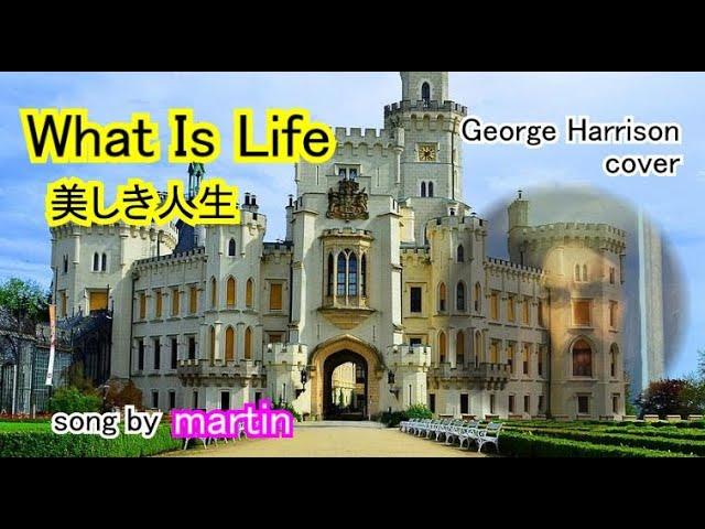 What Is Life / 美しき人生 George Harrison cover [日本語訳・英詞付き]　 song by martin