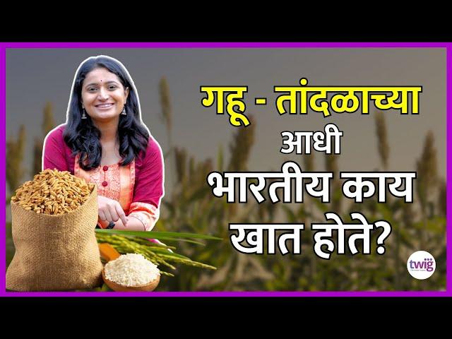 Millets का आहेत गुणकारी | काळाच्या ओघात मिलेट्स मागे का पडले | Marathi | Nachani Kodo Ragi Barnyard