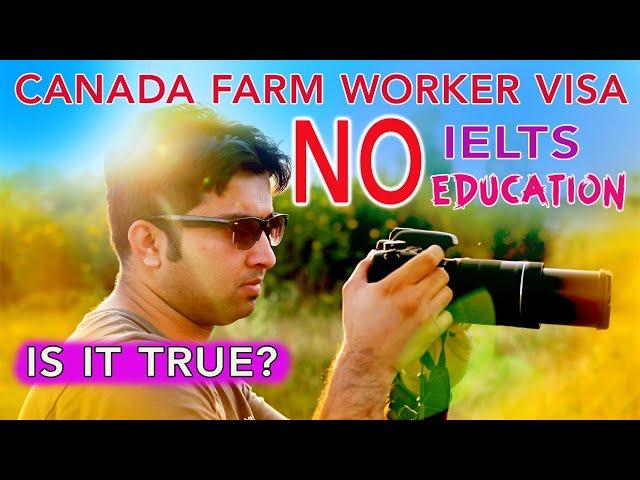 Canada Farm Worker Visa | Alert | Pakistani, Indians, Bangladeshi, UAE And Afghanistan People Beware