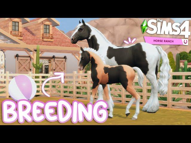 BREEDING RESCUE HORSES | The Sims 4