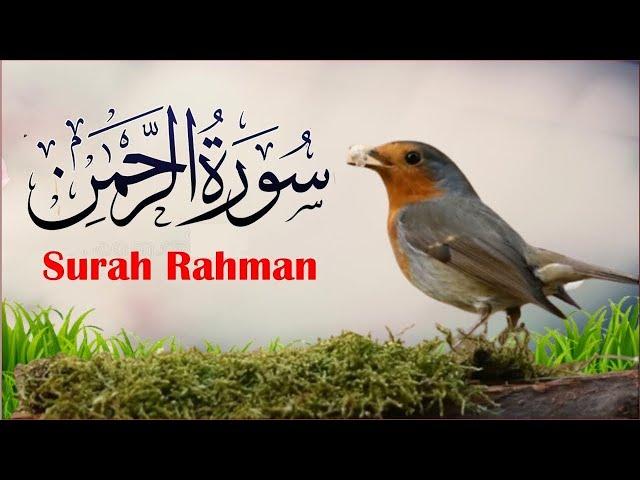  Live Surah Rahman Beautifull Voice | Most Quran Recitation | Daily Tilawat | Ayat e noor Ep 04