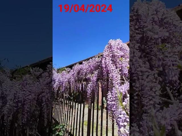 29 aprile 2024