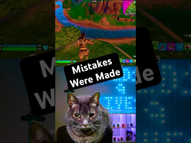 Cat makes huge mistake in First Fortnite game #fortnite #gamer #cat