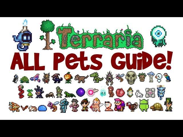 Terraria ALL Pets & Light Pets Guide! All platforms! (1.2.4 AND 1.3+, PC/console/mobile)