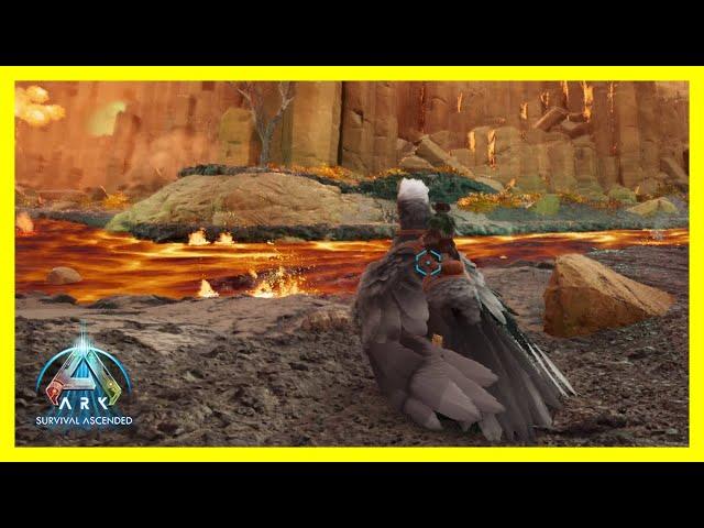 Ascended Ark Scorched - Boss Battle Prep Continues