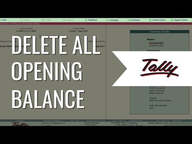 DELETE ALL Opening Balance in Tally on Single Click | Tally Guide