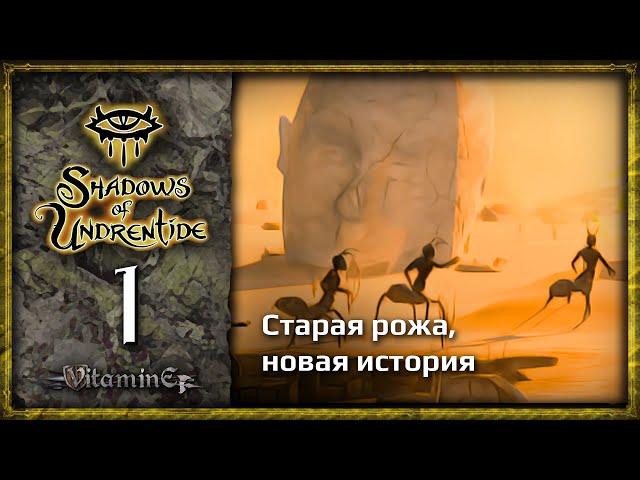 Начало дополнения - Neverwinter Nights: Shadows of Undrentide  - Прохождение за барда - #1