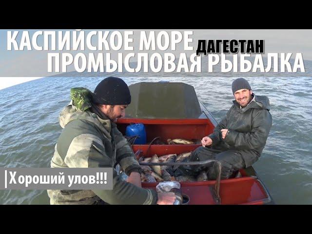 Промысловая рыбалка на Каспийском море. Кизляр, Дагестан.