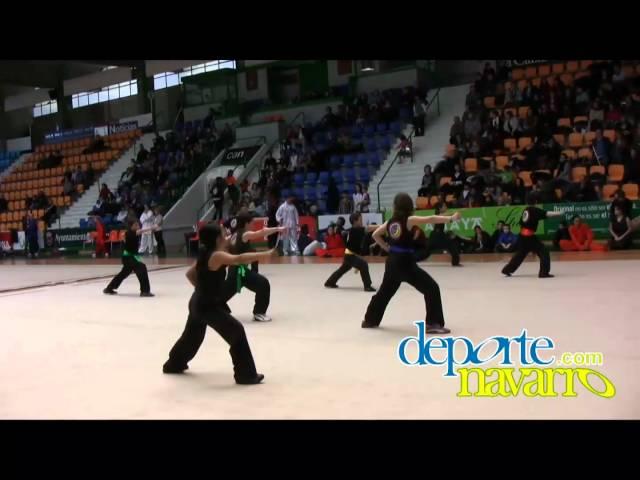 Deporte Navarro. Campeonato Navaro de Wu Shu (11)