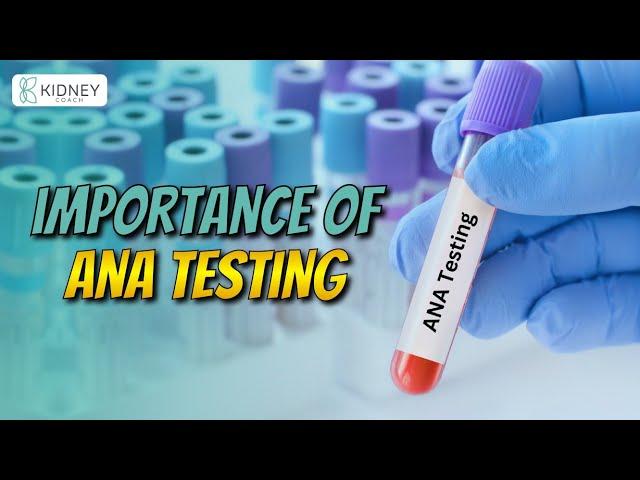 Antinuclear Antibodies ANA Test & It’s Importance | Why You Must Need It?