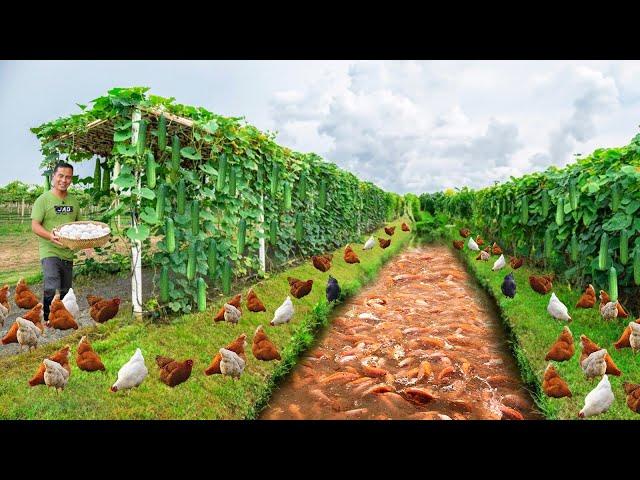 Creative Methods to Grow Organic Vegetables on a Free-range Farm!Harvesting fresh organic vegetables