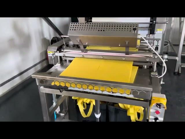 TECHTRON - Fully automatic beeswax foundation machine