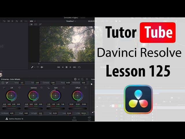 Davinci Resolve Tutorial - Lesson 125 - Enable and Disable Snapping