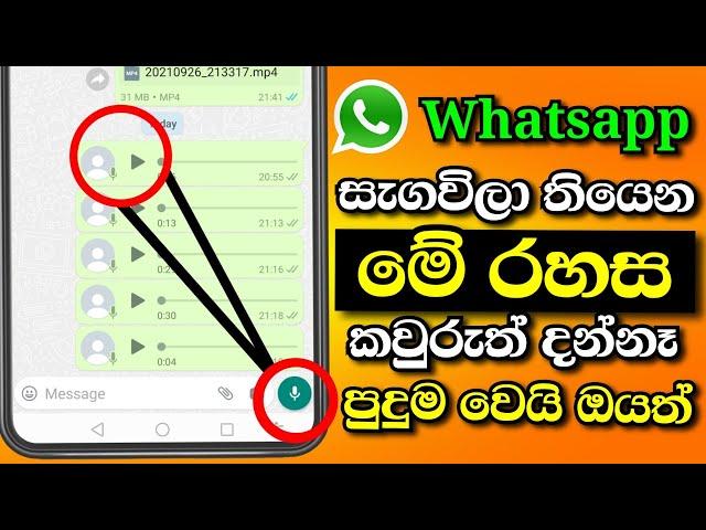 Top Whatsapp secret trick 2021 | whatsapp voice messages secret trick | Shark boy sl