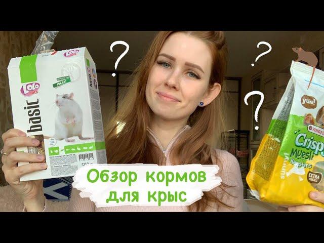 Какой корм для крыс выбрать? Обзор кормов и добавок к корму для крыс  Little one, Lolo Pets и др.