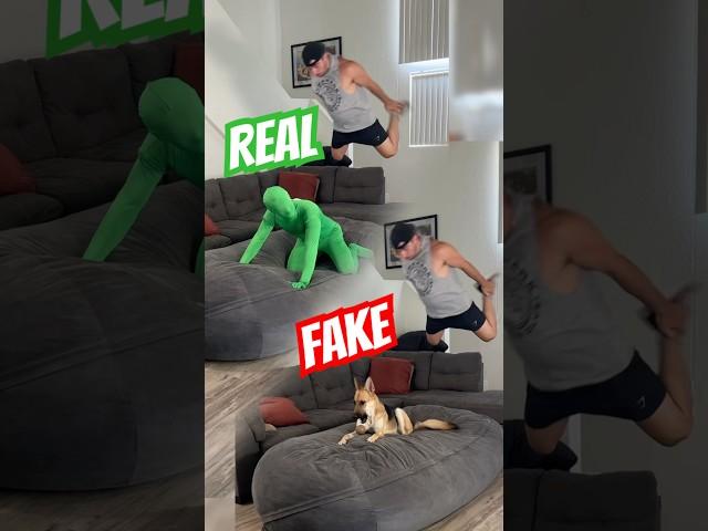 FAMOUS dog is NOT REAL!? #dog