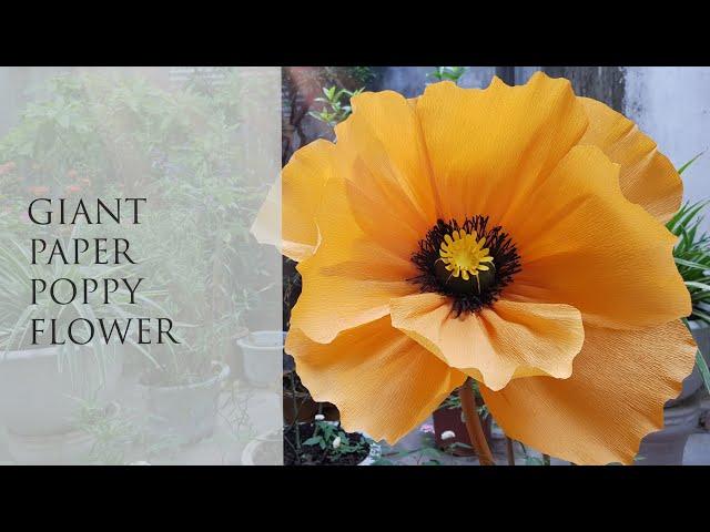 How To Make Giant Paper Flower Tutorial #1 / Diy Giant Paper Flower / Lana Paper Flowers