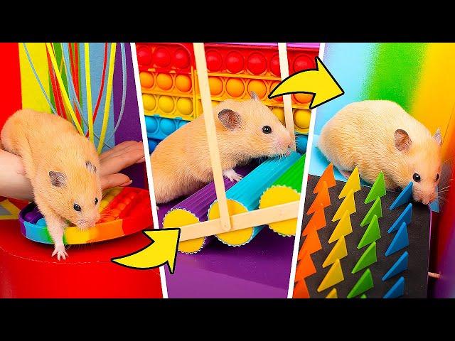 Cara Membuat Labirin Hamster Raksasa dari POP-IT!