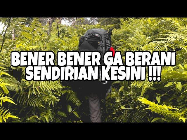 WARNING️ JANGAN KE GUNUNG INI SENDIRIAN!!! - GUNUNG TAMBORA #1