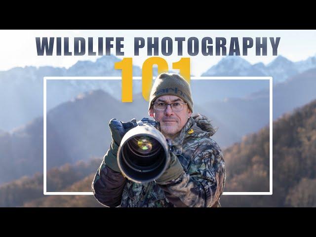 TOP TIPS to get into WILDLIFE PHOTOGRAPHY.  Learn from a professional!