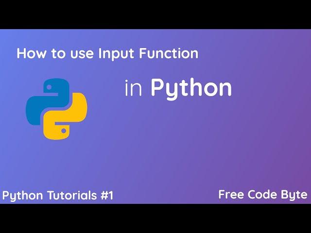 How to use Input Function in Python - Free Code Byte