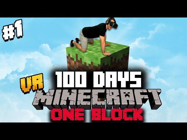 I Spent 100 Days in ONE BLOCK Minecraft VR and Here's What Happened