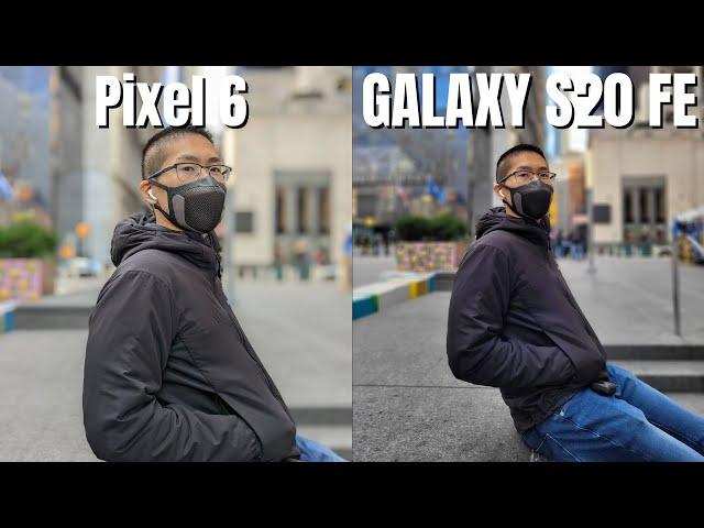 Pixel 6 vs Samsung Galaxy S20 FE Camera Comparison