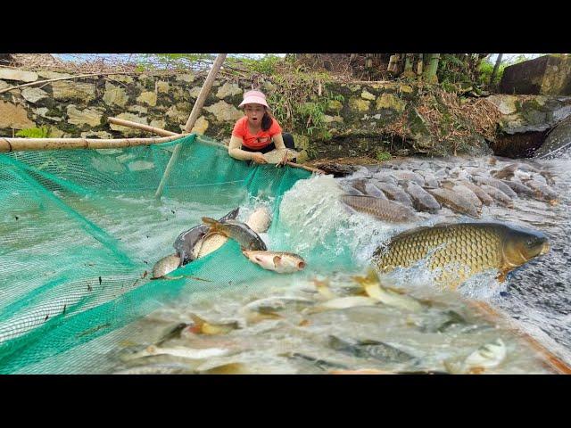 Use a net to make a simple fish catching tool, with the unexpected result of catching many big fish.