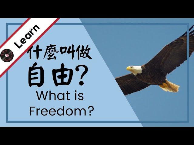 Learn "freedom" in Chinese: "What is Freedom" Lyrics Explained