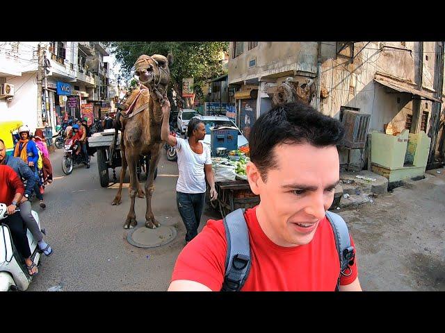 Exploring the Crazy Streets of Jaipur, India 