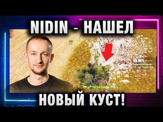 NIDIN ● НАШЕЛ НОВЫЙ КУСТ!