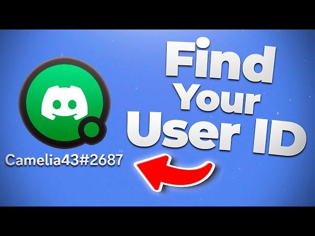 How to Find Your User ID on Discord 2023  Mobile & Pc (Check, see, get)