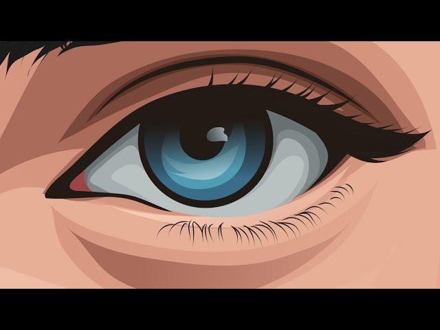 How To Draw Realistic Eyes Tutorial For Beginners | vector art