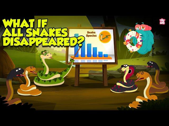 What If All Snakes Disappeared? | The Importance of Snakes in the Ecosystem | The Dr. Binocs Show