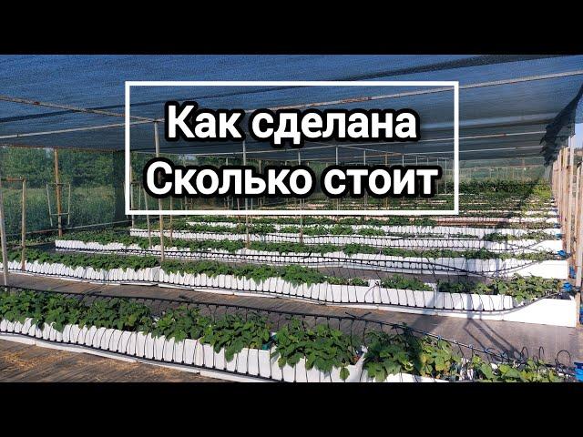 Новая площадка для саженцев малины