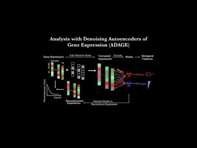 ADAGE-Based Integration of Gene Expression Data