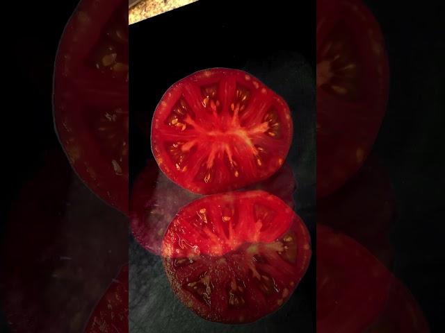 С этим томатом без урожая точно не останетесь! #помидоры#томаты#tomato