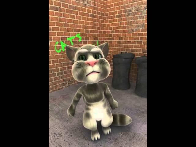 Talking Tom gone bad