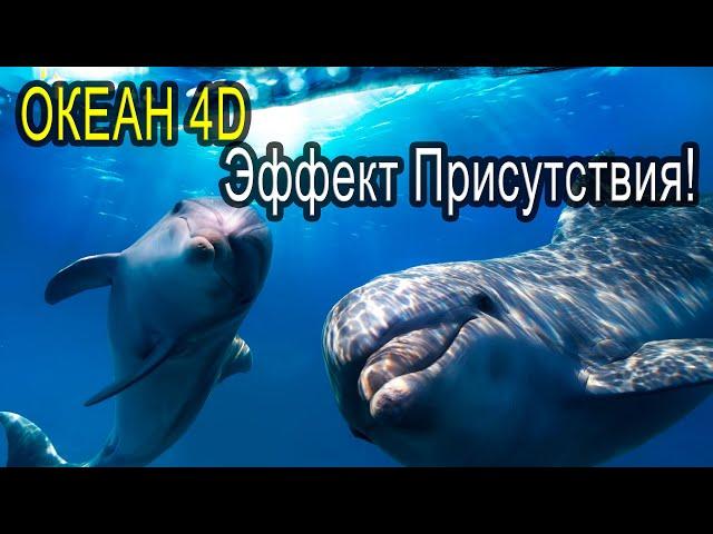 Звук Океана, песни Дельфинов и Китов. 432Гц +4d \ REAL Ocean sound, Dolphins & Whales, 432Hz + 4d