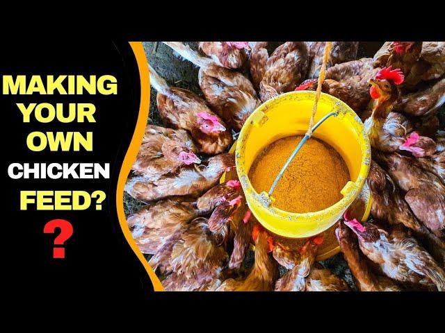 Mixing Your Own Chicken Feed | Part 1 - Is it Really Necessary?