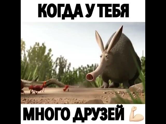 Прикол про Дружбу / Позитивное Видео  / Для поднятия настроения!.