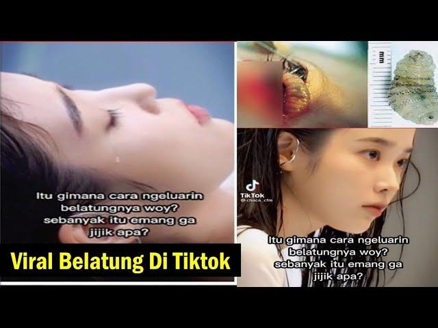 Full Video Belatung Viral di Tiktok