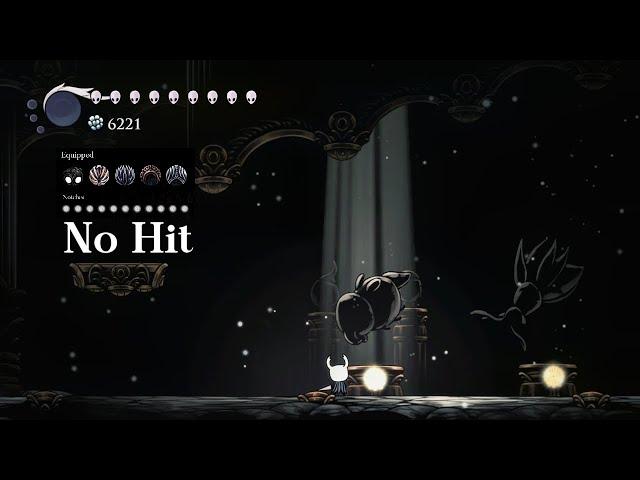 Hollow Knight Radiant Gruz Mother (No Hit)